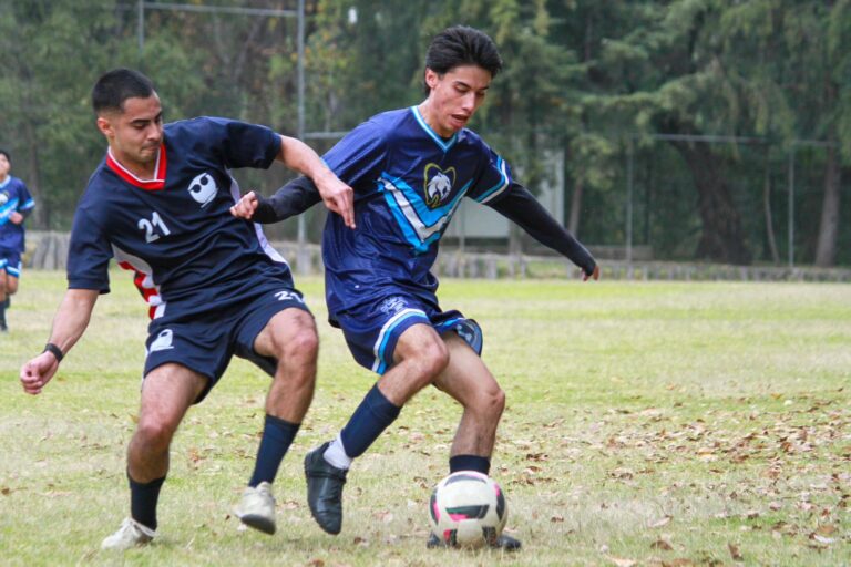 Partido de Odonto